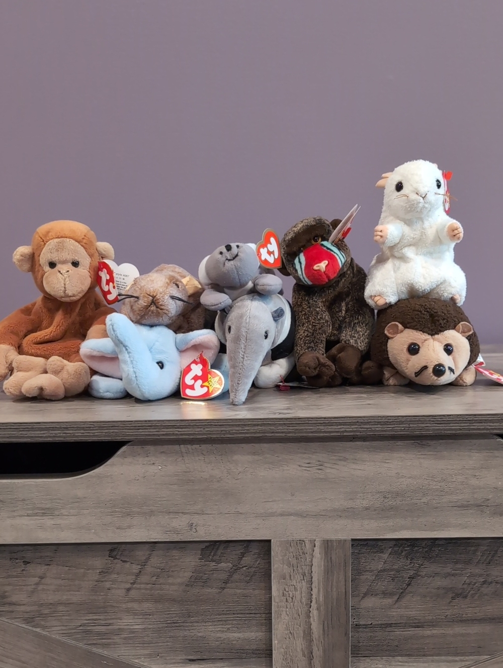 Ty Plush Assorted Animal Collection